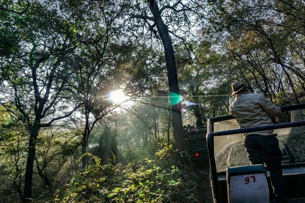 2 night Ranthambore - 1 night Jaipur